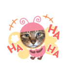 キジトラPちゃん（個別スタンプ：12）