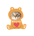 キジトラPちゃん（個別スタンプ：32）