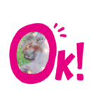 ポコポコポッピンシャン（個別スタンプ：2）