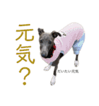 イッヌと。3（個別スタンプ：25）