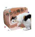 香辛料ファミリー②（個別スタンプ：8）
