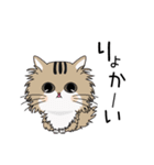 けんたんと猫しゃんの日常スタンプ vol.1（個別スタンプ：6）