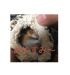 いつものアニマル（個別スタンプ：1）