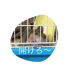 いつものアニマル（個別スタンプ：4）