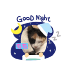 わしのスタンプなのだ！（個別スタンプ：2）