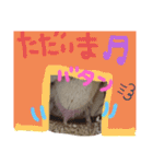 はりねずみのマロンちゃん ③（個別スタンプ：31）
