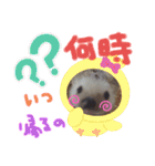 はりねずみのマロンちゃん ③（個別スタンプ：34）