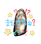 はりねずみのマロンちゃん ③（個別スタンプ：35）