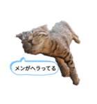 ミモザさんヘラ（個別スタンプ：7）