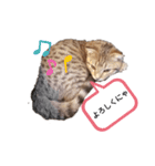 ミモザさんヘラ（個別スタンプ：14）