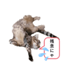 ミモザさんヘラ（個別スタンプ：18）
