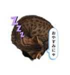 ミモザさんヘラ（個別スタンプ：24）