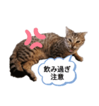 ミモザさんヘラ（個別スタンプ：26）
