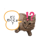 ミモザさんヘラ（個別スタンプ：28）