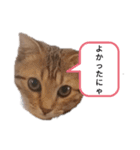 ミモザさんヘラ（個別スタンプ：29）