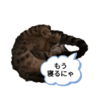 ミモザさんヘラ（個別スタンプ：30）