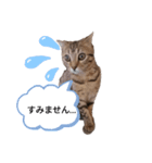ミモザさんヘラ（個別スタンプ：32）