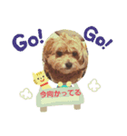 蘭魔瑠（個別スタンプ：6）