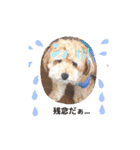 蘭魔瑠（個別スタンプ：8）