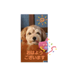 蘭魔瑠（個別スタンプ：10）