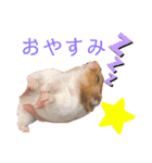 ハムスターのらぶちゃんスタンプ♡（個別スタンプ：15）