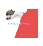 ワンコラズ！(公開版)（個別スタンプ：7）