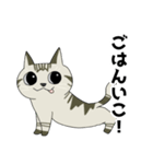 短足ねことやんちゃねこ（個別スタンプ：5）