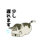 短足ねことやんちゃねこ（個別スタンプ：6）