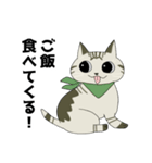 短足ねことやんちゃねこ（個別スタンプ：7）