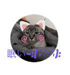 もちゃ14（個別スタンプ：3）