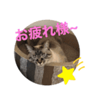 もちゃ14（個別スタンプ：5）
