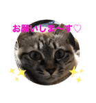 もちゃ14（個別スタンプ：12）