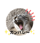 もちゃ14（個別スタンプ：14）