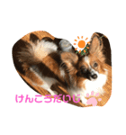 ジャックくん！（個別スタンプ：17）