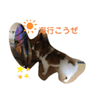 ジャックくん！（個別スタンプ：26）