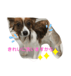 ジャックくん！（個別スタンプ：30）
