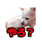 ライトさん2（個別スタンプ：1）