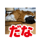 ライトさん2（個別スタンプ：2）