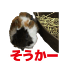 ライトさん2（個別スタンプ：5）