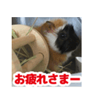 ライトさん2（個別スタンプ：6）