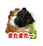 ライトさん2（個別スタンプ：7）