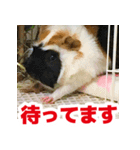 ライトさん2（個別スタンプ：10）