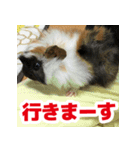ライトさん2（個別スタンプ：11）