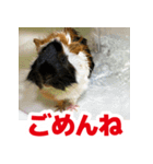 ライトさん2（個別スタンプ：15）
