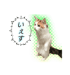 おべべべべ2（個別スタンプ：1）