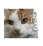 おべべべべ2（個別スタンプ：6）