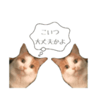 おべべべべ2（個別スタンプ：8）