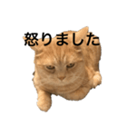 きなりとすけろくのサイコースタンプ（個別スタンプ：5）