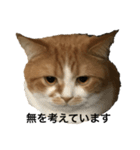 きなりとすけろくのサイコースタンプ（個別スタンプ：7）