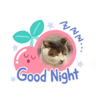 いぬいぬいぬねこいぬねこ（個別スタンプ：3）